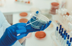 Risk Assessment - a frequently underutilised Tool for evaluating microbiogical Findings in the pharmaceutical Industry (Part 1)