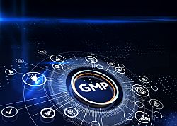 GMP Update 2025/2026.